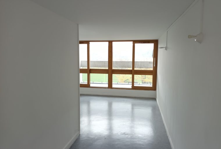 Appartement 3 pièces à Firminy - esprit loft
