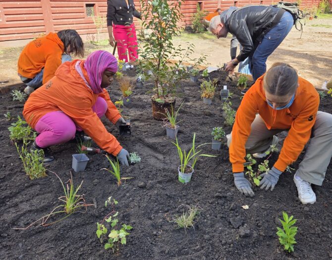 Aménagement des bacs de plantation à la résidence Centr’Île