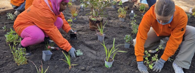 Aménagement des bacs de plantation à la résidence Centr’Île